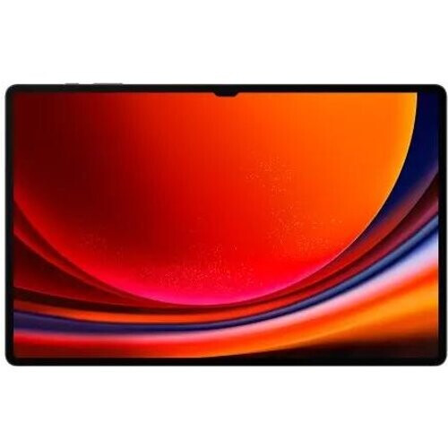 Galaxy Tab S9+ 256GB - Gris - WiFi