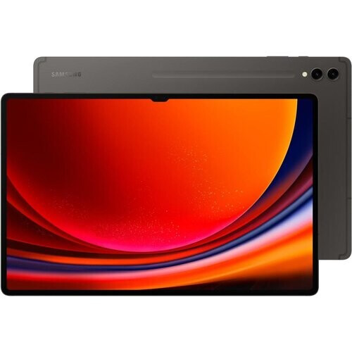 Galaxy Tab S9 Ultra 512GB - Gris - WiFi