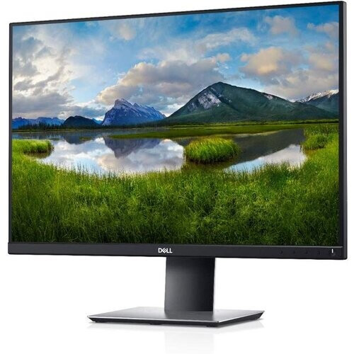 Monitor 24" LCD Dell P2421